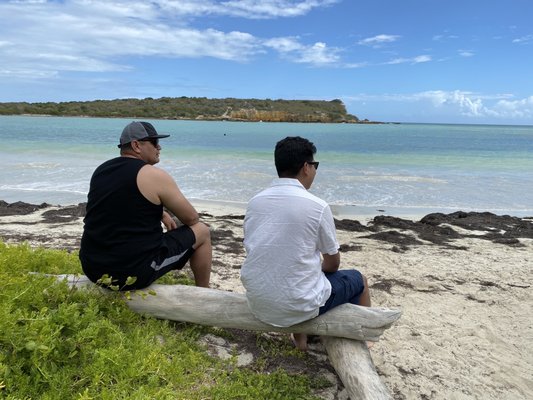 Playa Sucia by null