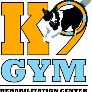 K9 GYM REHABILITATION CENTER - Updated August 2025 - 28714