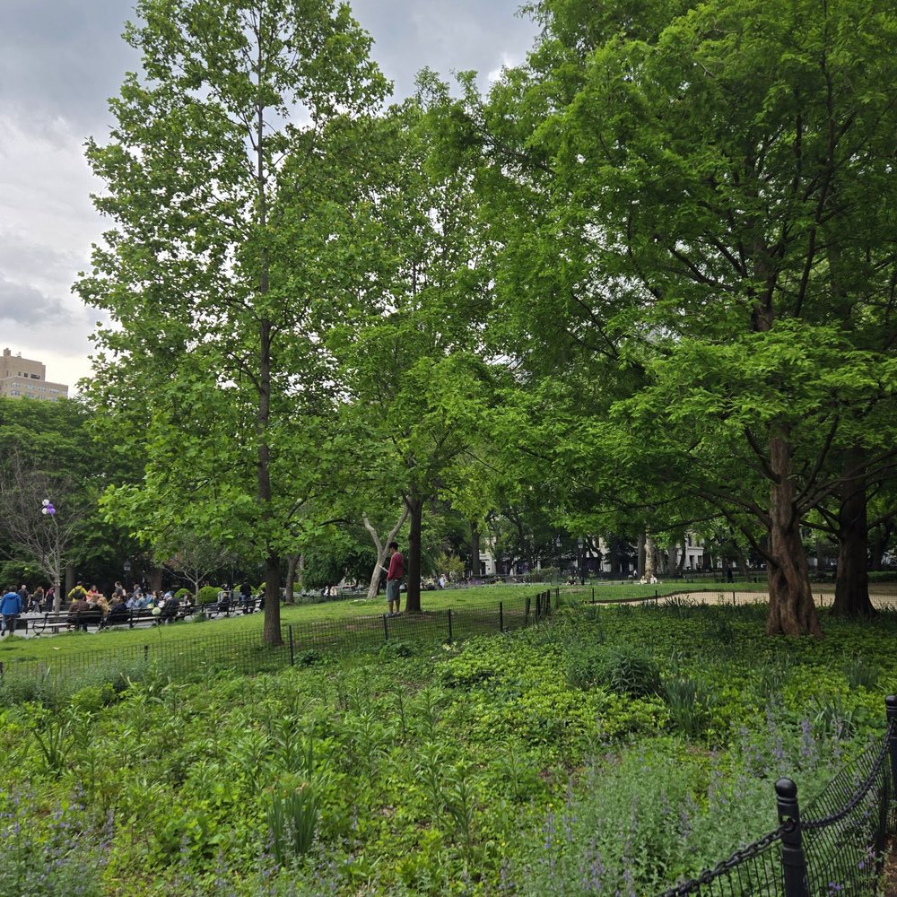Washington Square Park - Parks Near Me - New York, New York Washington Square Park - Parks Near Me - New York, New York