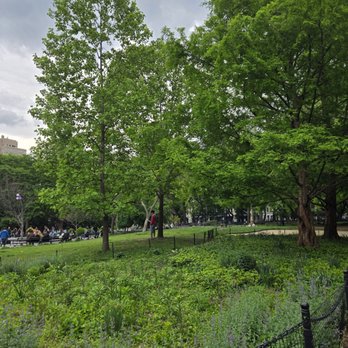 Washington Square Park - Parks Near Me - New York, New York Washington Square Park - Parks Near Me - New York, New York
