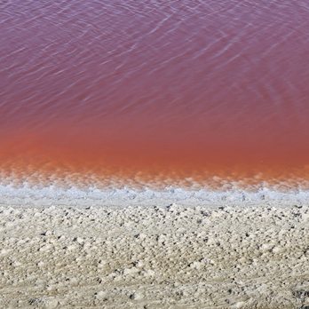 Alviso Marina County Park - Parks Near Me - Alviso, California