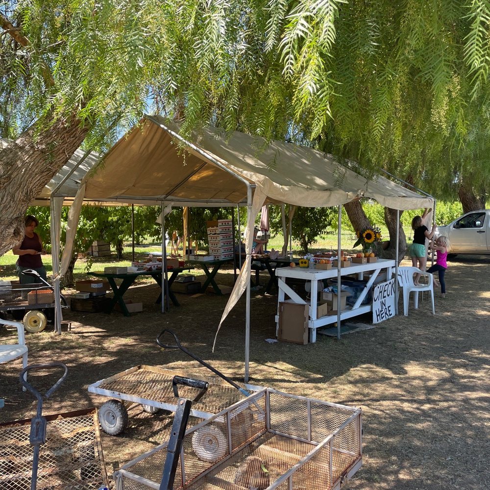 Wolfe Ranch - a tent set up under a tree - Fruits & Veggies Near Me - Brentwood, California Wolfe Ranch - a tent set up under a tree - Fruits & Veggies Near Me - Brentwood, California