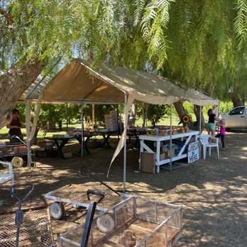 Wolfe Ranch - a tent set up under a tree - Fruits & Veggies Near Me - Brentwood, California Wolfe Ranch - a tent set up under a tree - Fruits & Veggies Near Me - Brentwood, California