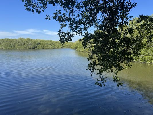 El Cora Crocodile Sanctuary by null