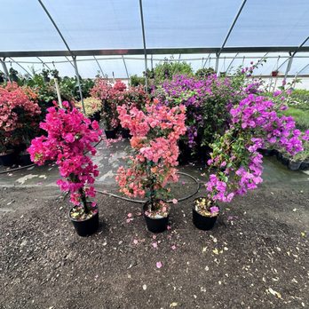 French Valley Nursery - Nurseries & Gardening Near Me - Winchester, California
