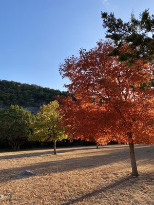 Lost Maples State Natural Area by null