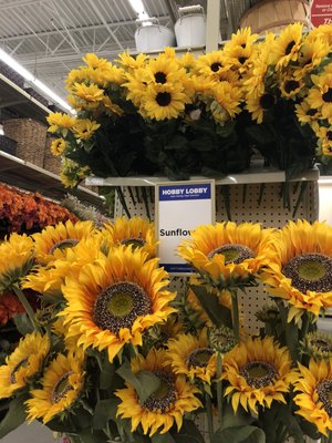 Hobby Lobby by null