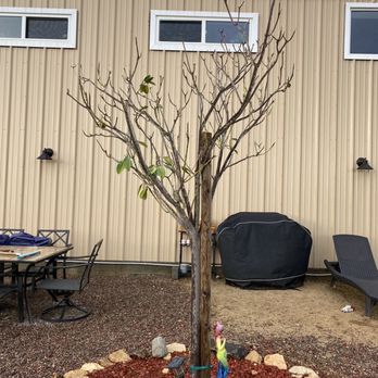Moon Valley Nurseries - Such poor quality from thousands spent . - Landscaping Near Me - Escondido, California