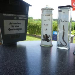 Irrgarten