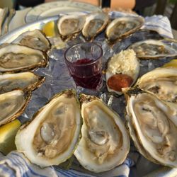 Landmark Oyster House - Daily oysters