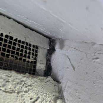 PEAK Pest Control - Sealed a gap on the right side of the attic vent. - Pest Control Near Me