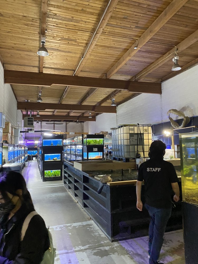 FISH ADDICTS Updated October 2024 11 Photos 5676 Production Way