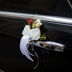 JMMJ Transportation