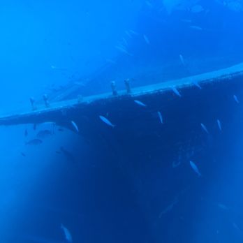 Submarine Safaris - Tours Near Me
