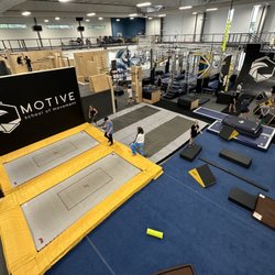 MOTIVE School of Movement