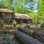Photo of Santos Brothers Tree Service