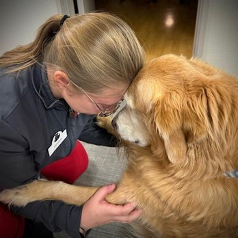 Apple Valley Veterinary Clinic - Veterinary Appreciation Day! - Veterinarians Near Me - Appleton, Wisconsin