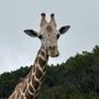Photo of Fossil Rim Wildlife Center - Animal Discoveries