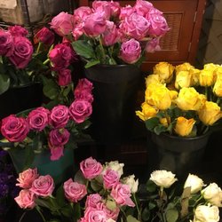 Flower World