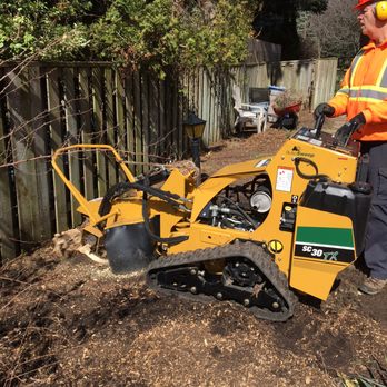 STS Tree Services Ltd - Tree Services Near Me - Mississauga, Ontario STS Tree Services Ltd - Tree Services Near Me - Mississauga, Ontario