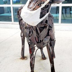 BayCare Laboratories - Bloomingdale - The baby cow at the entrance. Go Bucs!