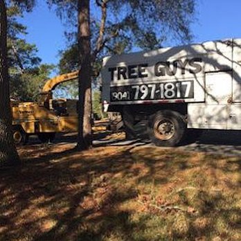 Tree Guys of St Augustine - Tree Services Near Me - St Augustine, Florida Tree Guys of St Augustine - Tree Services Near Me - St Augustine, Florida