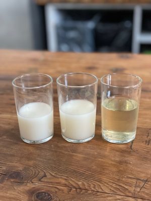 Hana Makgeolli Brewery & Tasting Room by null Hana Makgeolli Brewery & Tasting Room by null