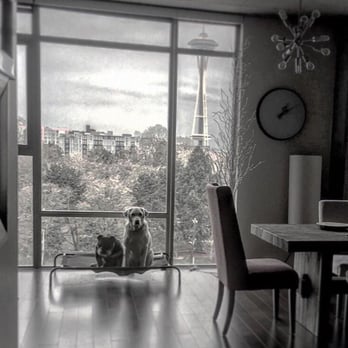 Rollin Street Flats - living room.. - Apartments Near Me - Seattle, Washington