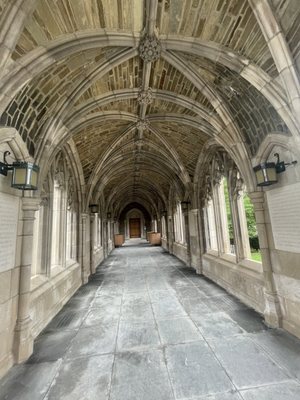 Cornell University by null