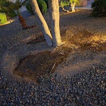 Pro Natural Landscape - a tree with a hole in the ground - Landscaping Near Me - El Mirage, Arizona Pro Natural Landscape - a tree with a hole in the ground - Landscaping Near Me - El Mirage, Arizona