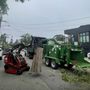 Photo of Cal Line Tree Care