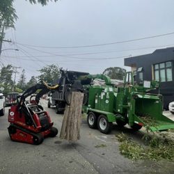 Cal Line Tree Care