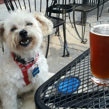 Kasey's Tavern - I luv dis place!!!! - Sports Bars Near Me - Chicago, Illinois Kasey's Tavern - I luv dis place!!!! - Sports Bars Near Me - Chicago, Illinois