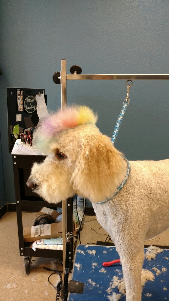 THE DOGHOUSE Updated October 2024 17 Photos 135 Vista Way