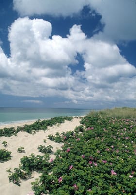 Sherburne Inn by Nantucket Resort Collection by null