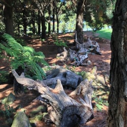 Mayfield Garden