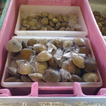 City Fish Market - Seafood Markets Near Me - Wethersfield, Connecticut City Fish Market - Seafood Markets Near Me - Wethersfield, Connecticut