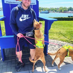 We love how dog friendly Sheplers is! We love how dog friendly Sheplers is!
