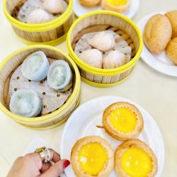 Ginger & Garlic - Baked Egg Custard Tart, Shanghai Fried Noodle, Shrimp Dumpling with Chives, Fried Mochi Puff