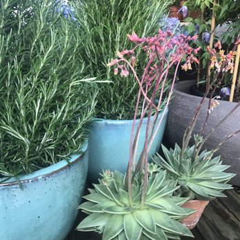 von Arx Blumen & Garten - Tree Services Near Me - Olten, SO