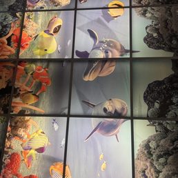 cute ceiling tiles above our table! cute ceiling tiles above our table!