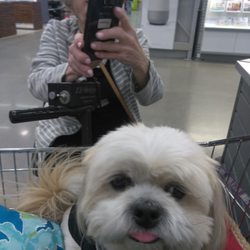 Smile Mobile Grooming