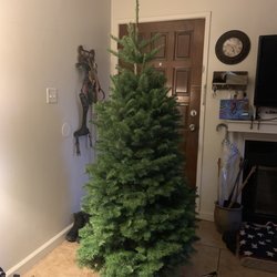 Frosty's Forest Christmas Trees - Bakersfield - Our tiny Christmas tree for our tiny apartment.