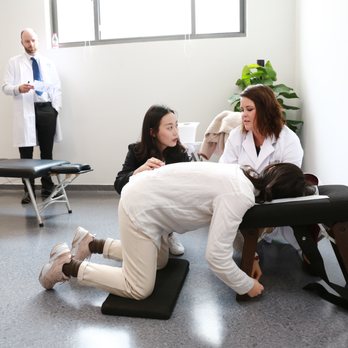 Goodland Chiropractic - 2019 China Mission Trip - Chiropractors Near Me - Santa Barbara, California