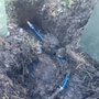 Photo of Extreme Plumbing Services