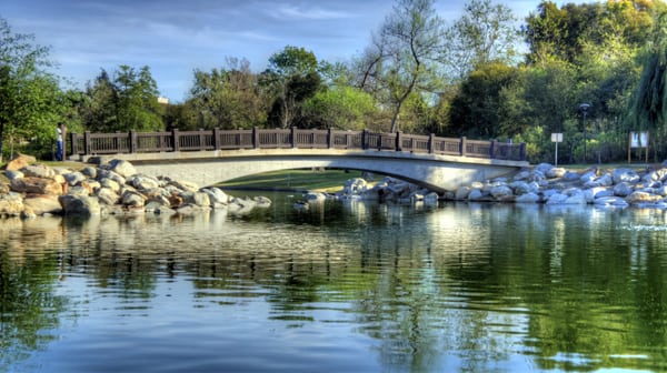 William R Mason Regional Park by null