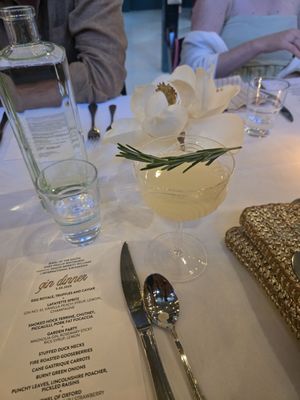 Wonderbird Spirits by null