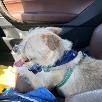 California Groomin' - Pet Groomers Near Me - Salinas, California California Groomin' - Pet Groomers Near Me - Salinas, California