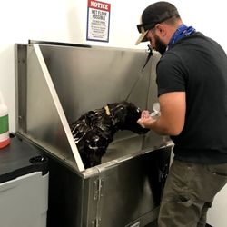 Tractor Supply - Dog washing station!