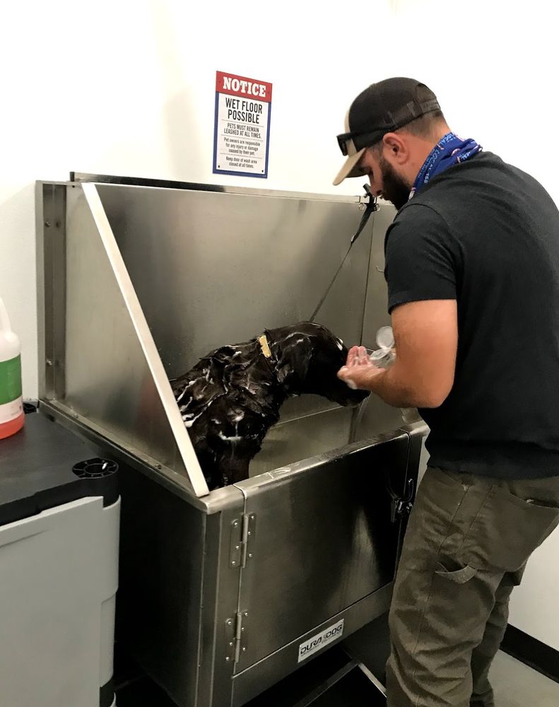 TRACTOR SUPPLY Updated October 2024 360 Grant Ave, Auburn, New York